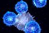 Dendritic cell and T-lymphocytes