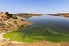 Algal bloom