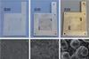 Photographs and scanning electron microscope images of an uncoated flow plate and with various layers of silver