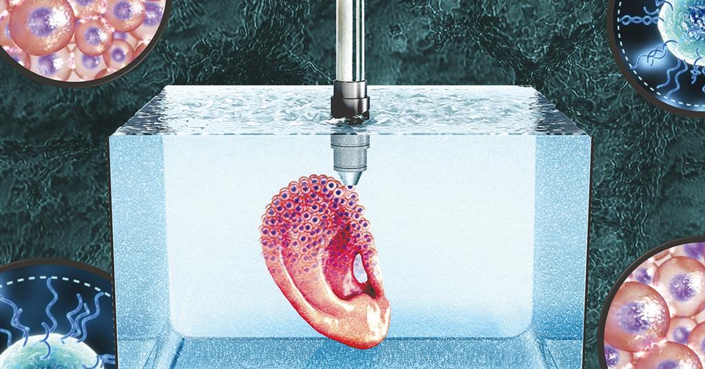 Microgel supports 3D printing technique that builds organs out of