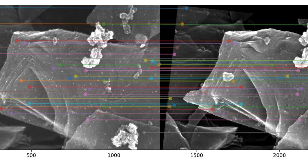 Nanoparticles poison singleatom cross coupling catalyst Research