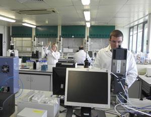 Company Profile: Chew's life | Careers | Chemistry World