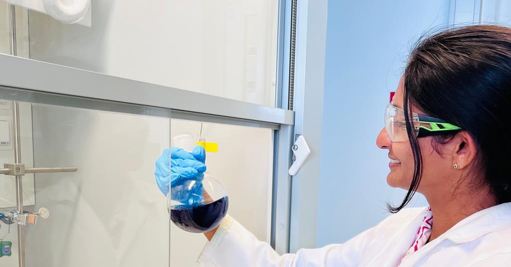 How a binational PhD opens two doors to a future research career | Careers