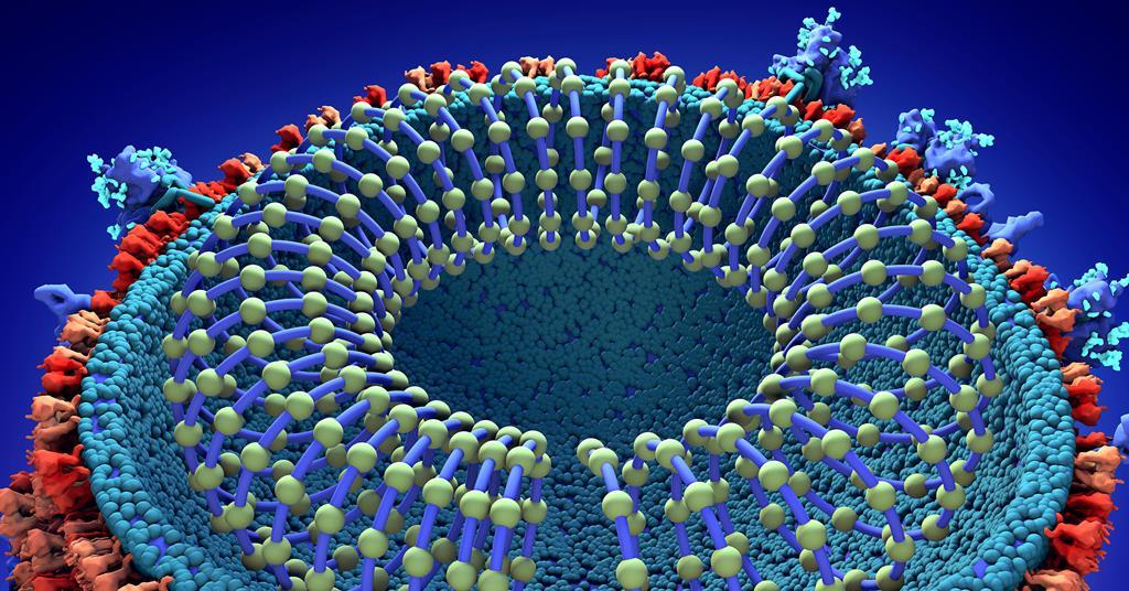 Nanoparticle antivirals offer new way to fight coronaviruses but ...