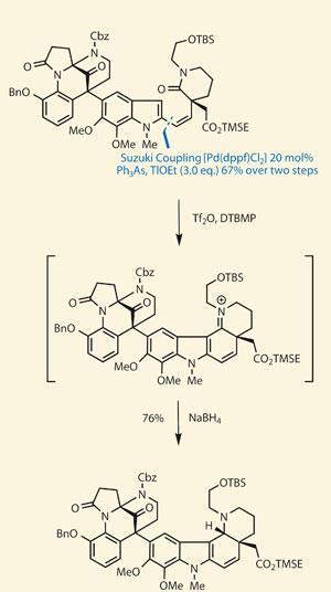 Column Totally Synthetic Opinion Chemistry World