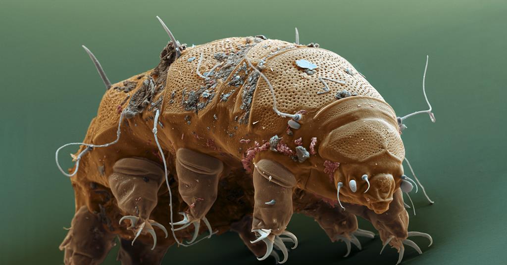 Extremophiles: the tardigrades, cave cyanobacteria and deep-sea microbes redefining the limits of life