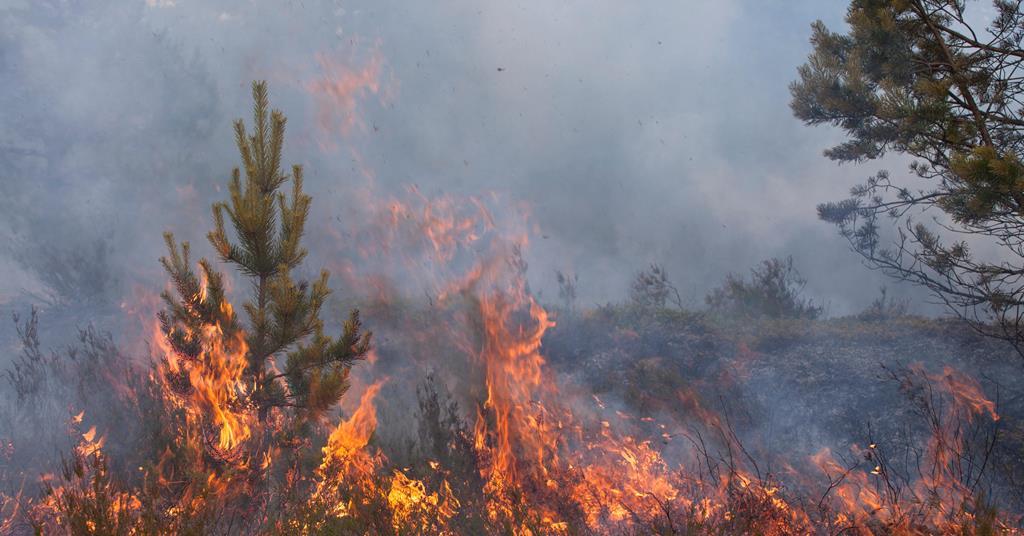 Émissions record de dioxyde de carbone provenant des incendies boréaux