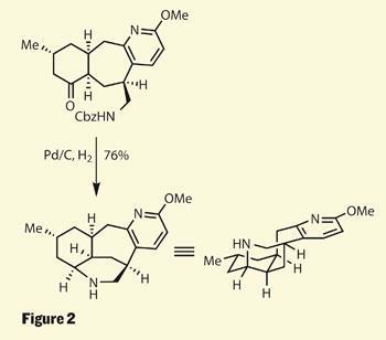 Lycodine Lyconadin A | Opinion | Chemistry World