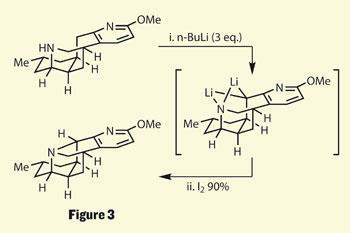 Lycodine Lyconadin A | Opinion | Chemistry World