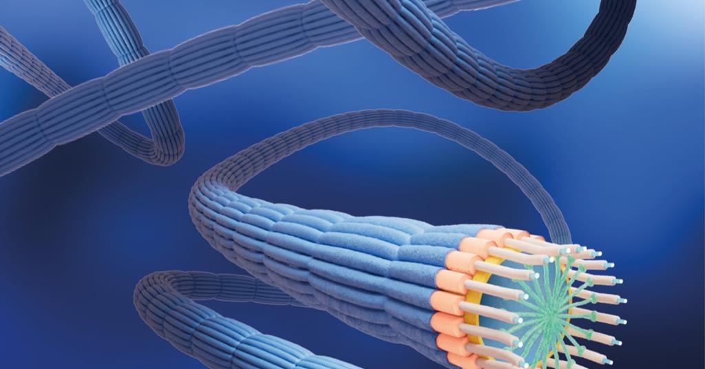 Bacteria discovered to be synthesising metal–organic frameworks with ‘extraordinary conductivity’ - Chemistry World image