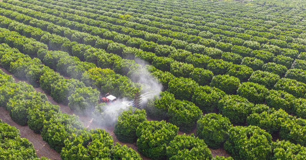 US aims to reinstate chlorpyrifos insecticide ban