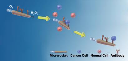 Microrockets aim at cancer diagnostics | News | Chemistry World