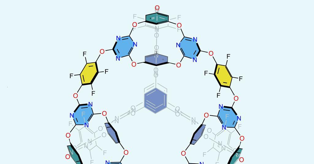 Estructura cristalina orgánica porosa de la 'jaula de jaulas' predicha mediante modelos informáticos |  Buscar