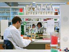 find a phd medicinal chemistry