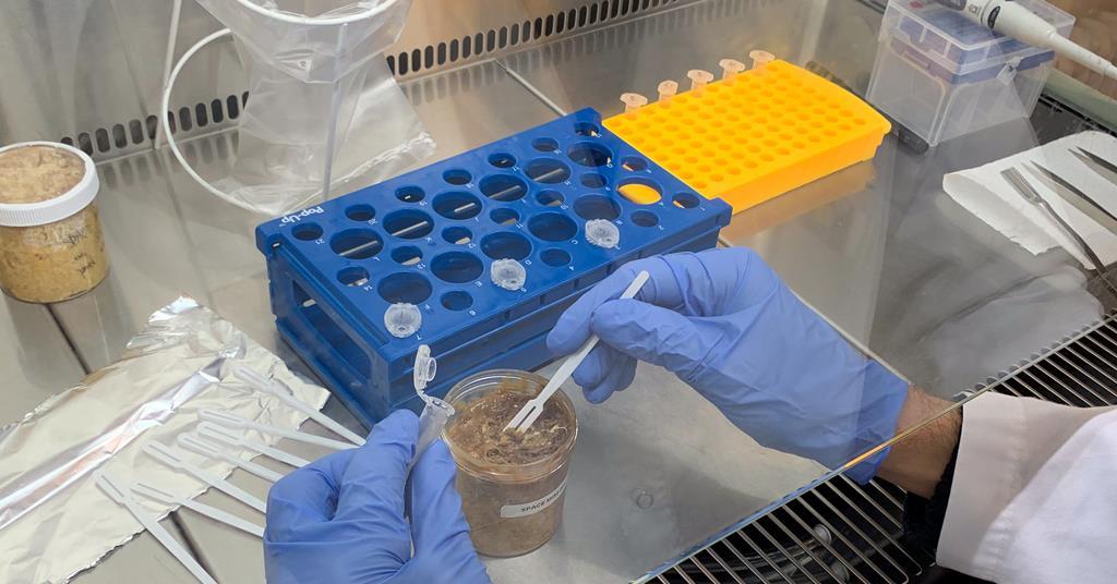 Scientists Create Unique Miso on Space Station