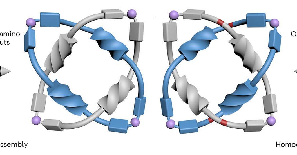 Amino acids weave organic molecules into chiral knots