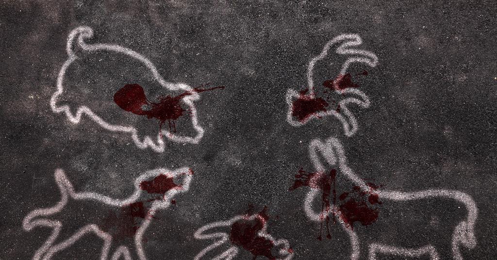 Rapid test can tell human from animal blood at crime scenes Research Chemistry World