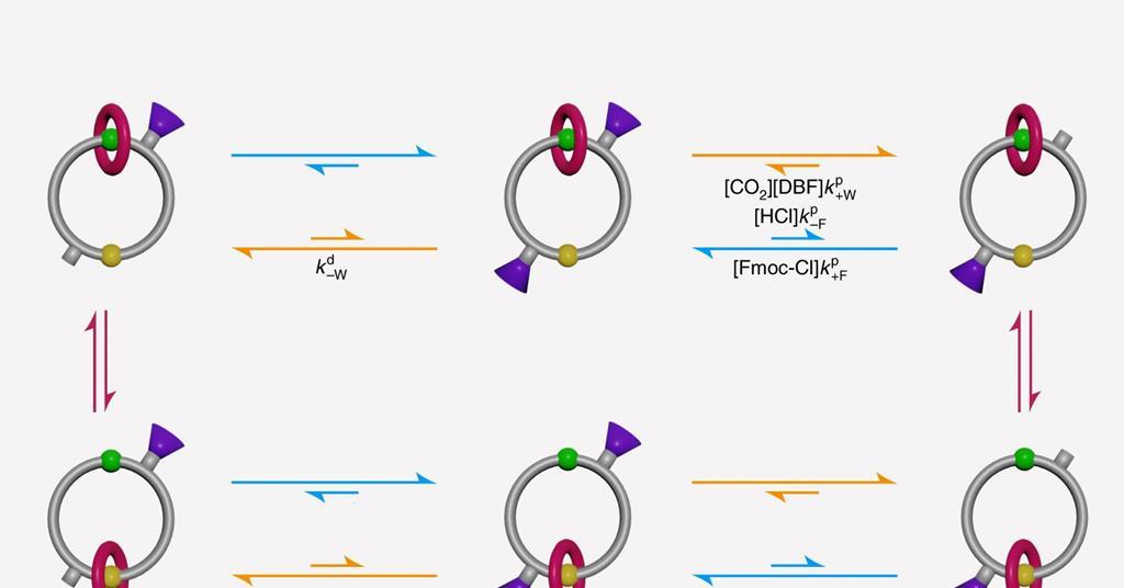 Molecular ratchets and motor proteins: how chemists are mimicking biological motion with synthetic machines