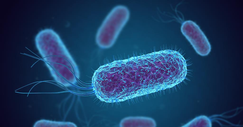 Giant, longlived bacteria could make microbial farms more productive