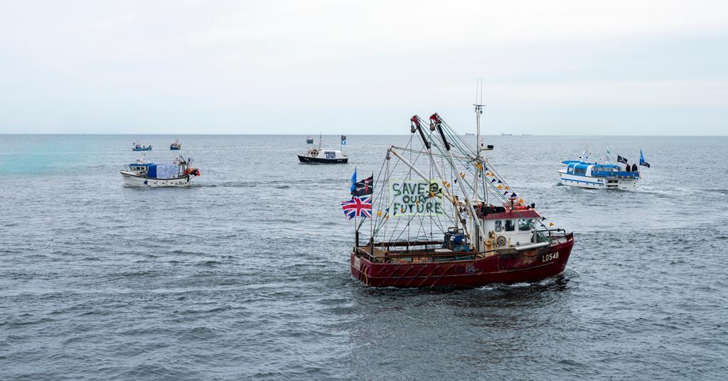 L’agence des pêches conclut qu’il est « très improbable » que la pyridine soit à l’origine de la mort de crustacés au Royaume-Uni après de nouveaux tests