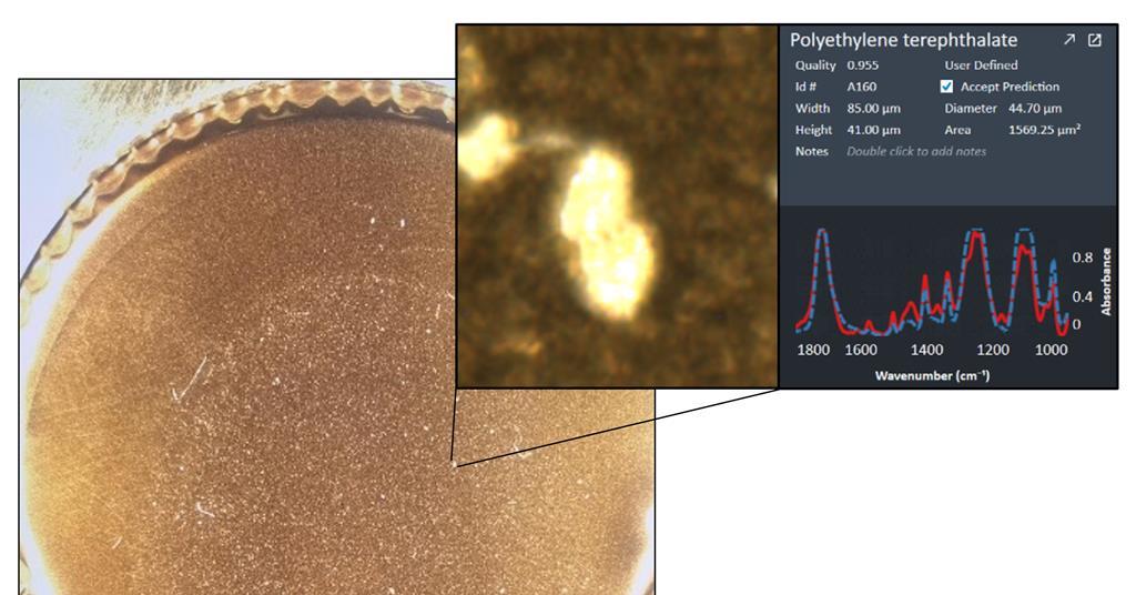 Microplastics in the human body: scientists debate research methods and ...