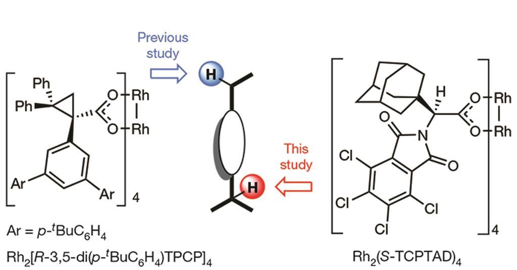 Catalyst sets sights on C–H sites | Research | Chemistry World