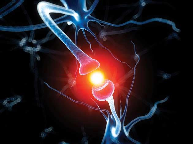 The molecules that make memory | Feature | Chemistry World