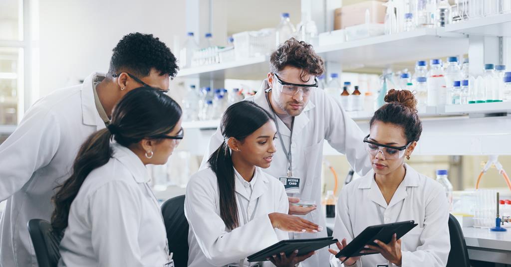 ‘Losing an entire generation of scientific talent’: top US universities accepted 15% fewer PhDs | News