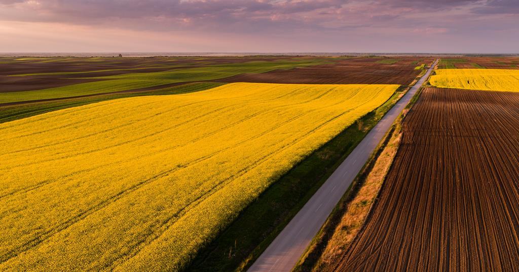 Bayer–Monsanto merger momentum | Business | Chemistry ...