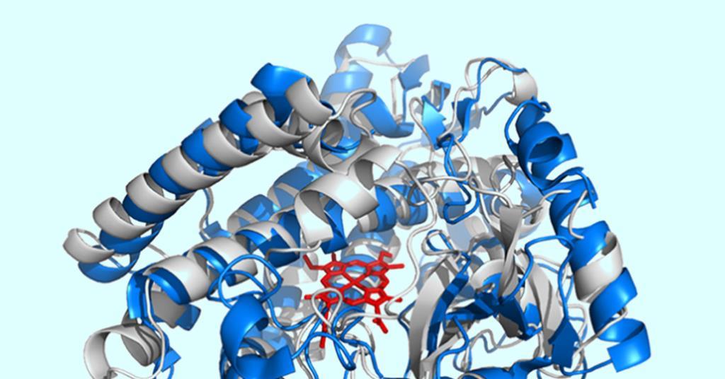 Artificially evolved enzyme tackles tricky cross coupling