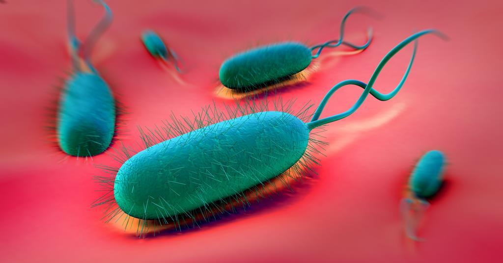 Bismuth drugs kill bacteria by disrupting metabolism | Research ...