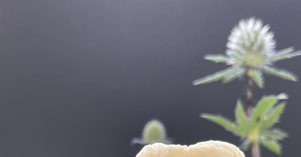 Taking aerogel insulation from spacecraft to living space