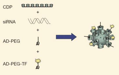 Nanoparticles successfully deliver RNA interference in cancer patients ...