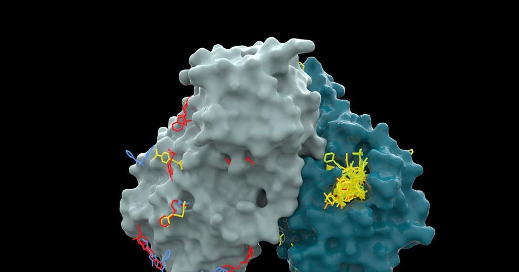 L’IA peut suggérer des antiviraux Covid-19 à partir de la seule séquence de protéines