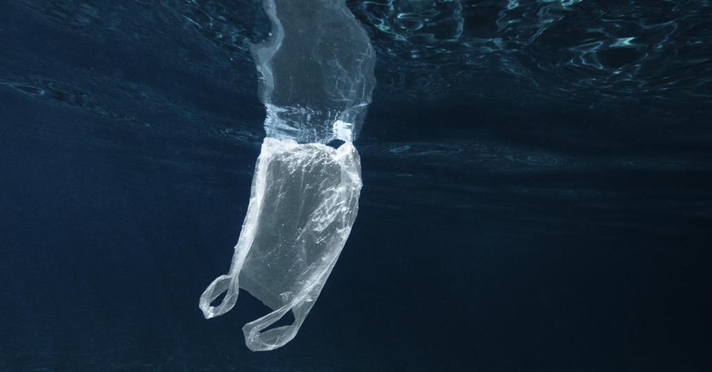Bacterium may help answer mystery of ‘missing’ plastic in the seas