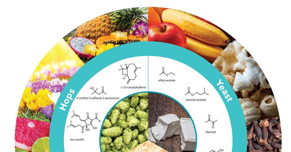 Beer: Music to your taste buds | Feature | Chemistry World