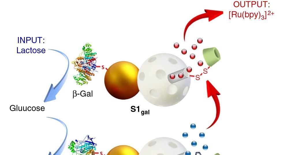 Engineered nanoparticles start up a conversation | Research | Chemistry ...
