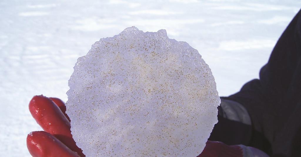 Chemical fossils Feature Chemistry World