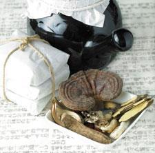 Chinese medicine in western packaging | Feature | Chemistry World