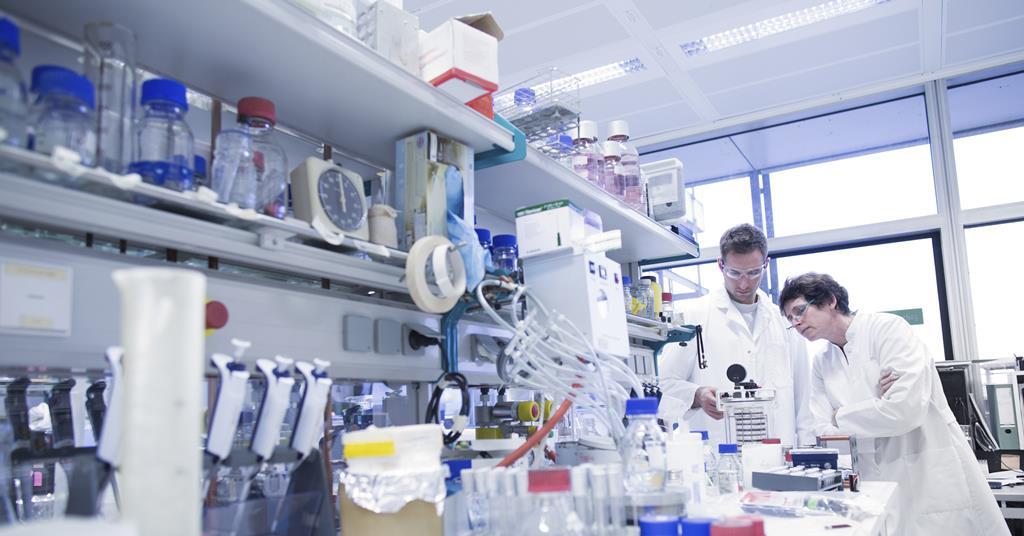 Supervisors can make or break wellbeing of early-career researchers, survey finds