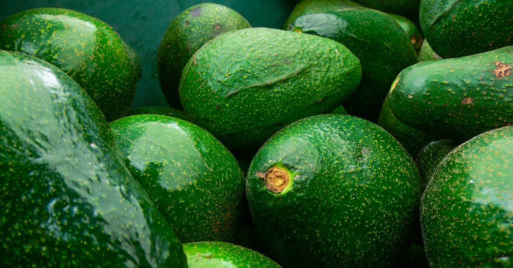 Freezer magnets improve avocado puree properties | Research | Chemistry ...