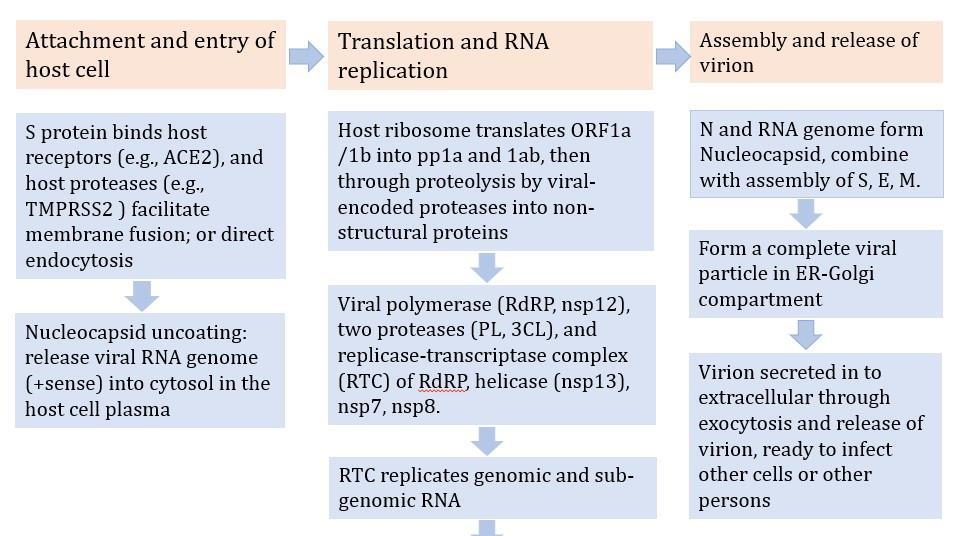 A network-guided protocol to discover susceptibility genes in