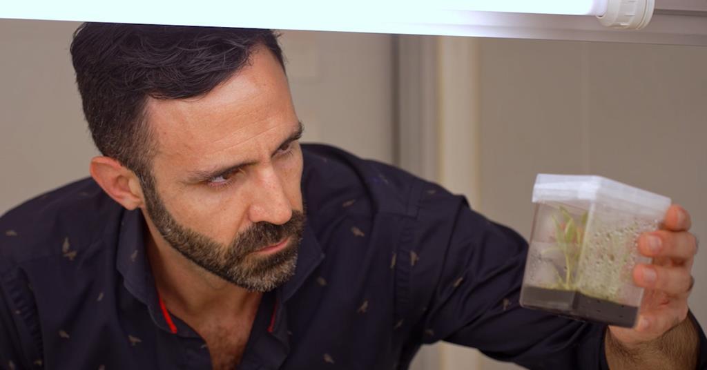 RNA as a Replacement for Chemical Pesticides