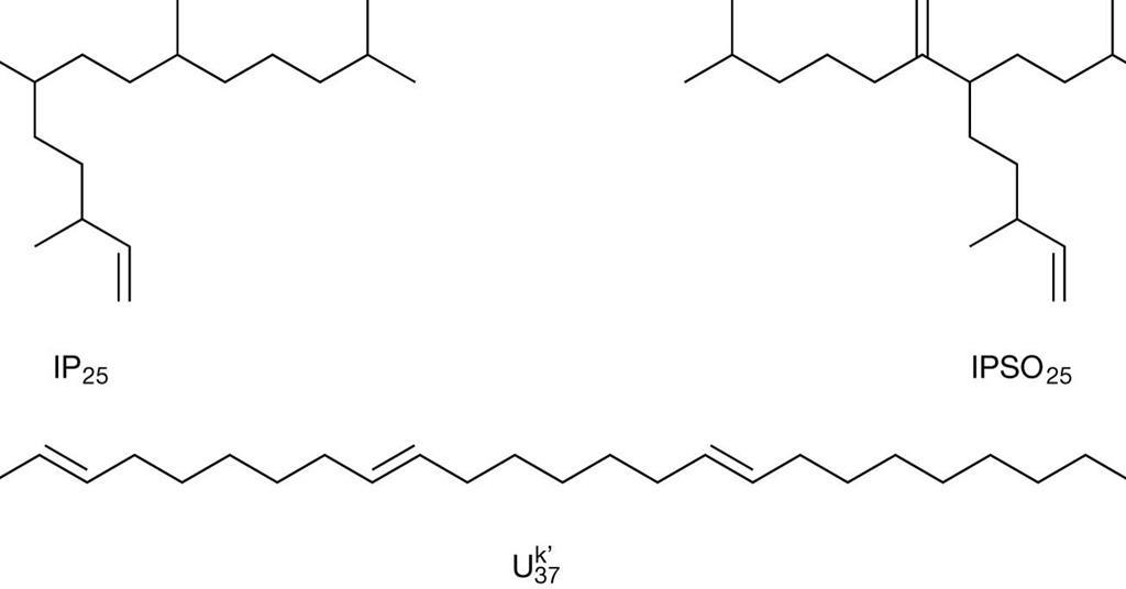 Chemical fossils | Feature | Chemistry World