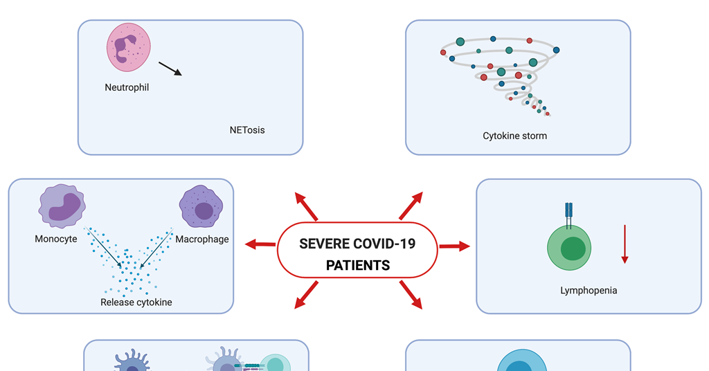 Infection and pathogenesis of SARS-CoV2: an immunological 