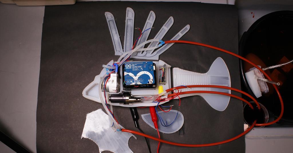 Robot poisson RoboFish autonome dans l'eau - Leobotics