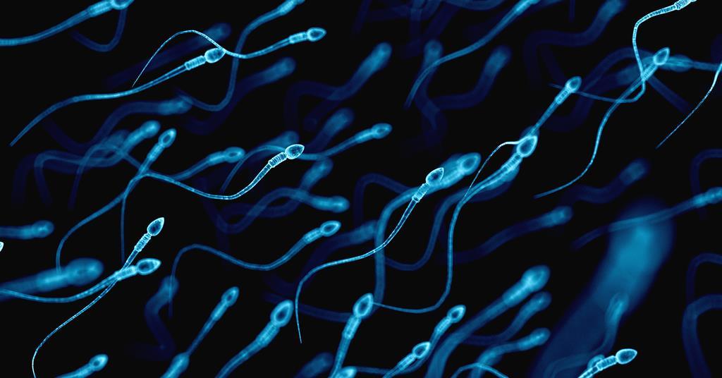 Antibodi yang direkayasa yang merobek sperma bisa menjadi kontrasepsi non-hormonal yang efektif |  Riset