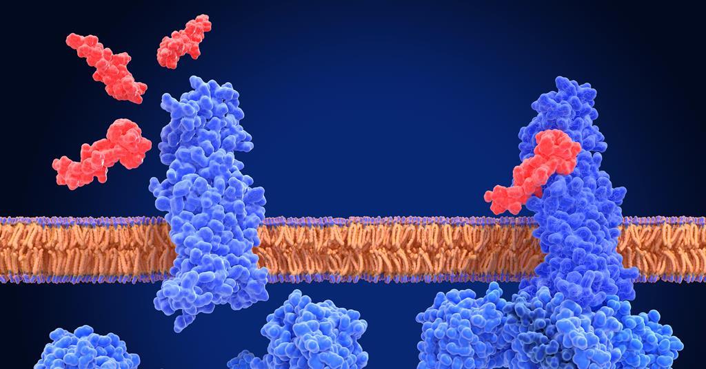 glp 1 oral liquid reviews uk The bumpy road to an oral GLP-1 agonist