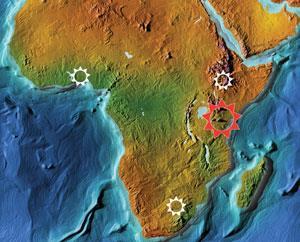 African chemistry network launches | News | Chemistry World