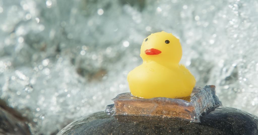 New adhesive is so sticky it can glue a rubber duck to a seaside rock | Research